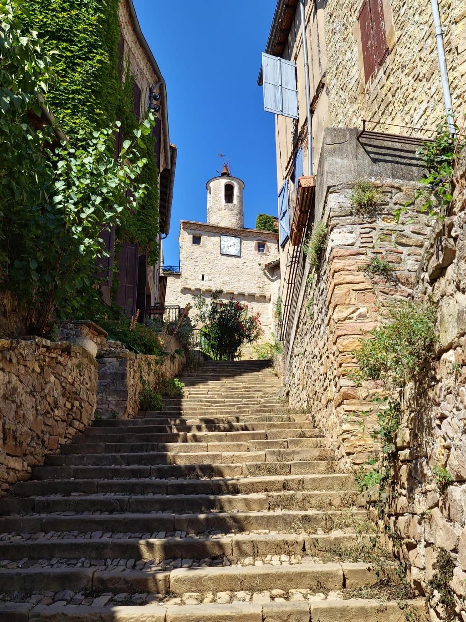 Puechblanc Gites Et Chambre D'Hote Dans Le Triangle D'Or Gaillac-Albi-Cordes Sur Ciel Fayssac 외부 사진